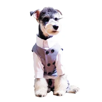 Băiat Câine Haine Rochie De Mireasa Costum Frac Chihuahua, Yorkie Pomeranian Pudel Schnauzer Pug Bulldog Francez Câine Corgi Îmbrăcăminte