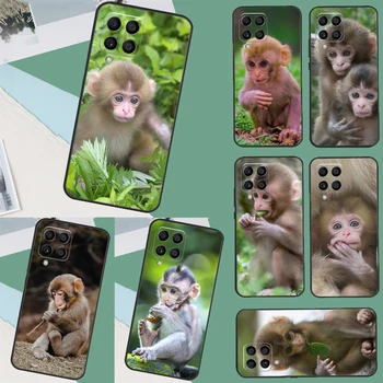 Copil Drăguț Maimuță Animale Caz Pentru Samsung Galaxy M14 M34 M54 M13 M23 M33 M53 M52 M32 M12 M51 M31 M30s M31s M20 Coque