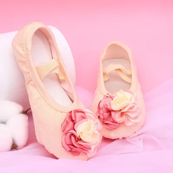 Noua Floare Mare de Balet Pantofi de Dans Elegant și Minunat Fata Practica Talpă Moale Pantofi de Dans de Scena de Dans Pantofi Femei